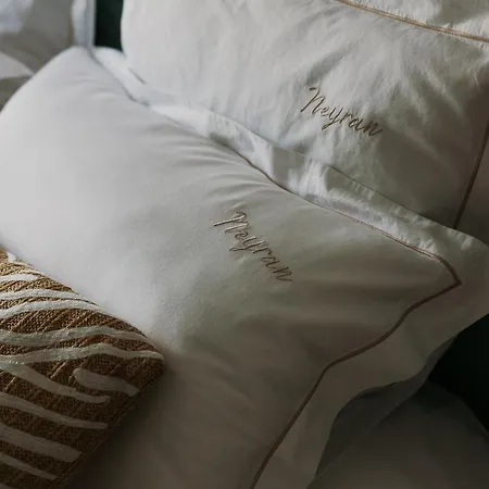 Bed & Breakfast Chateau De Neyran D'hotes & 3*