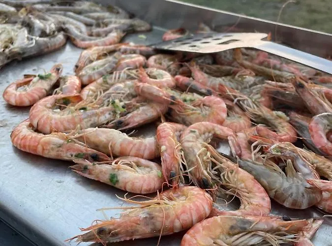 Panzió Chateau De Neyran D'hotes & Soulac-sur-Mer