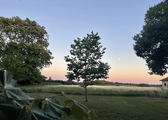 Chateau De Neyran D'hotes & Panzió 3*