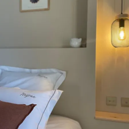 Château De Neyran Maison D'hôtes&spa Couette-café *