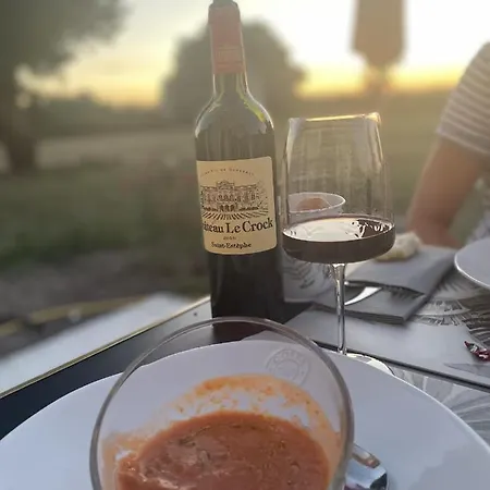 Château De Neyran Maison D'hôtes&spa *