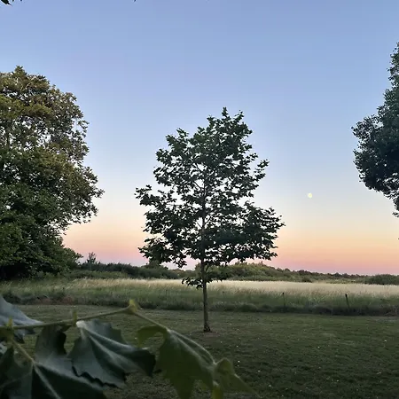 Chateau De Neyran D'hotes & Nocleg ze śniadaniem 3*