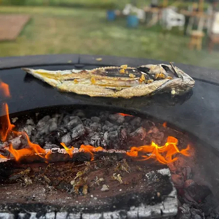 Chateau De Neyran D'hotes & Bed & Breakfast Soulac-sur-Mer