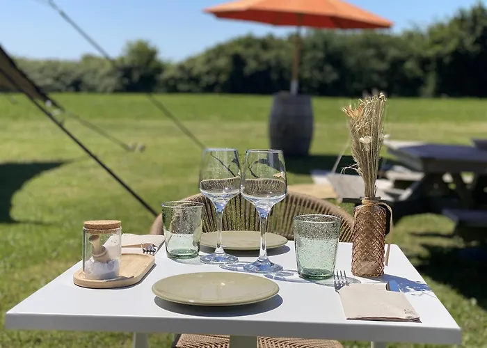 Chateau De Neyran D'hotes & Bed & Breakfast 3*