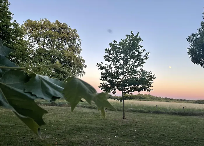 Chateau De Neyran D'hotes &